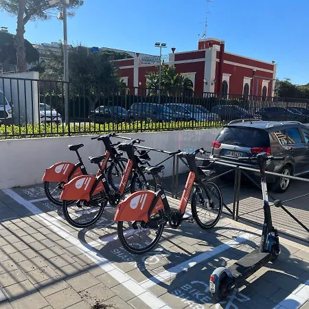 Executive L'orangerie Bb Bari