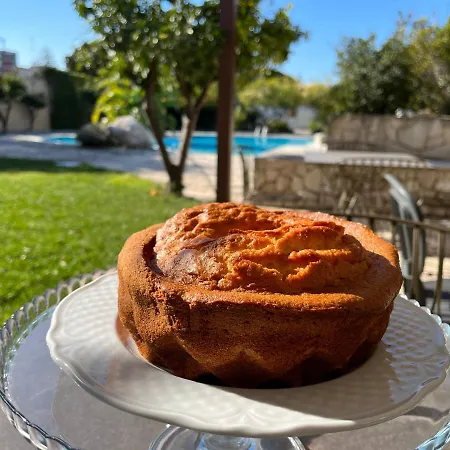 Gæstehus Executive L'orangerie Bb 3*